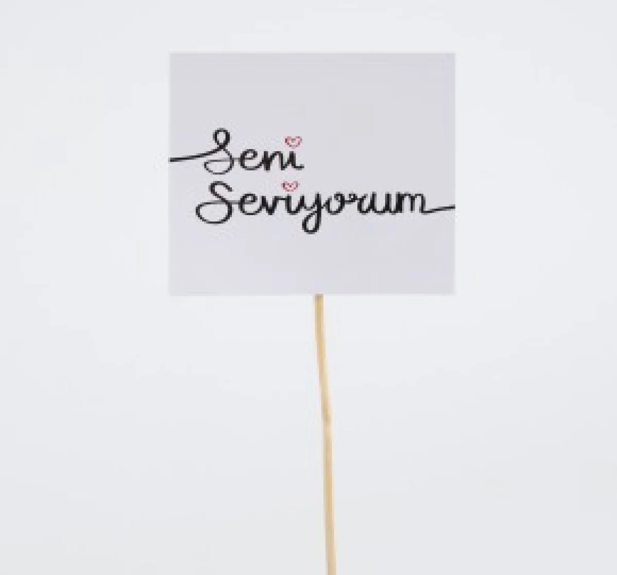Seni Seviyorum Mini Pankart